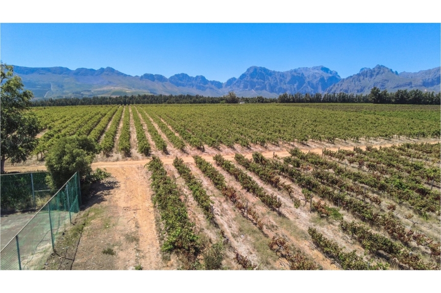 5 Bedroom Property for Sale in Paarl North Western Cape
